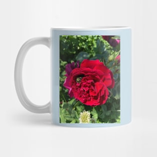 Red garden rose and bug Mug